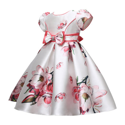 Evening Dress Fluffy Embroidered Princess Dress Kindergarten Costume Girl Dress