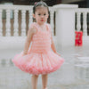 Ins one year old gift dress fluffy skirt Tutu Skirt princess dress children\'s Girl Dress spring and summer