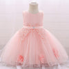 Girls embroidered lace princess dress