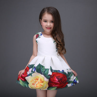 Mitun2016 girl printing dress in spring and summer, high grade princess, fluffy skirt, manufacturer wholesale, foreign trade Amazon