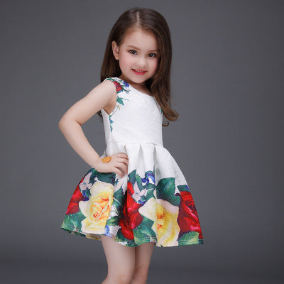 Mitun2016 girl printing dress in spring and summer, high grade princess, fluffy skirt, manufacturer wholesale, foreign trade Amazon