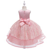 Lace Embroidery Mesh Children's Dress Princess Dress