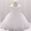 Girls embroidered lace princess dress