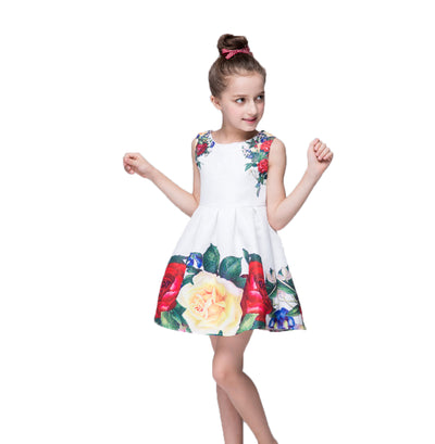 Mitun2016 girl printing dress in spring and summer, high grade princess, fluffy skirt, manufacturer wholesale, foreign trade Amazon