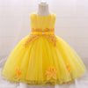 Girls embroidered lace princess dress