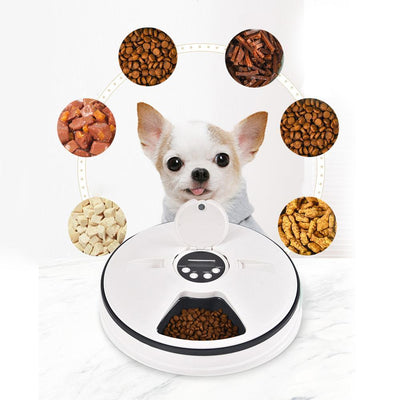 Healthy Pet Simply Feed Automatic Cat and Dog Feeder - Etrendpro